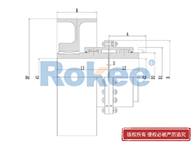 RODU Drum Gear Coupling,Full Flex Gear Coupling Alignment