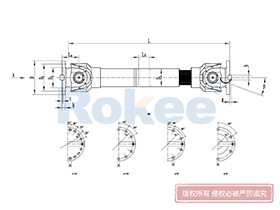 SWC-BH Universal Coupling,Universal Coupling Joints Angle