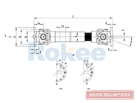 SWC-DH Universal Coupling,Universal Coupling Joints Angle