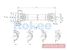 SWC-WH Universal Coupling,Universal Coupling Joints Angle